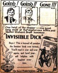 Invisible Dick Novel
